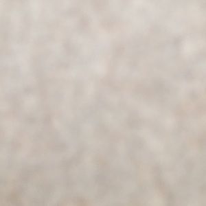 Meet your Posher, Daria